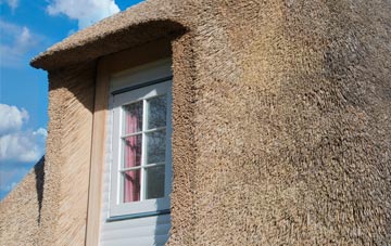 Nedd thatch roof disadvantages